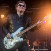 Dries Van Der Werf