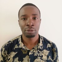 Ejike J J OKPALAEKE