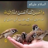 Chand Ali
