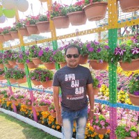 Sohil Dhameliya