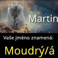 Martin Vesely