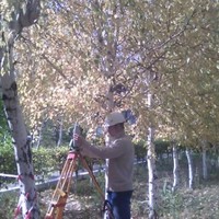 Денис Буквич