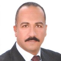 Ameer Elserafy