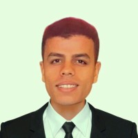 mostafa hamada