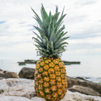 PineappleArt AndDance