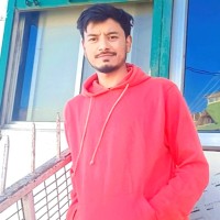 Naveen N