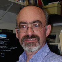 Arnold Rotter
