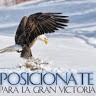 alex heredia