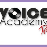 Voice Academy Project