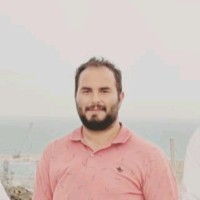 Mohammad Alipour