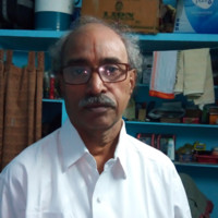 sreenivasarao pamidighantam