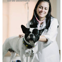 Michelle Pavanato Camargo