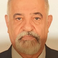 Hossein Soltani