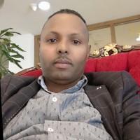 Daniel Lemma Demissie