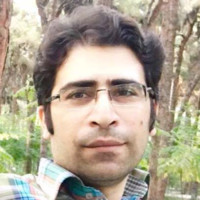 mehdi safavy