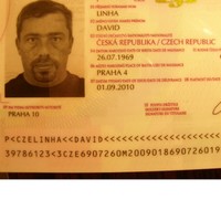 david linha