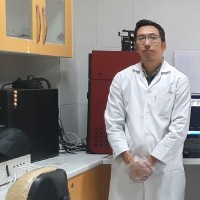 Mojtaba Ghorbani