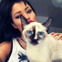fofo fifi