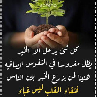 Omima Sayed