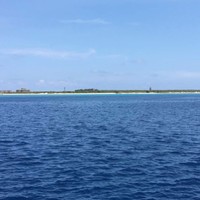 刘小龙