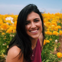 Leah Parlato, Bsn, Rn