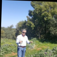 Moussa AL Zouabi  ( موسى الزعبي )