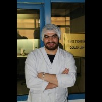 Ahmed Sallam