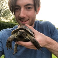 Reuben Attwell