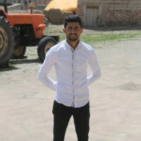 Ergin Erez KELEŞ