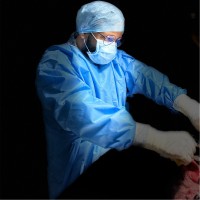 Dr. Vikas Arora