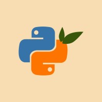 Organizador Python Valencia