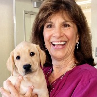 Cheryl Wilkins, Cva