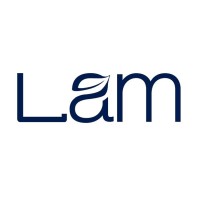 Lam Lumber