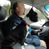 Consbec Inc Greg Hamlyn