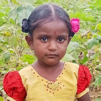 M Adhi
