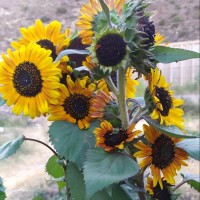 Jorge Cabrerizo Martin