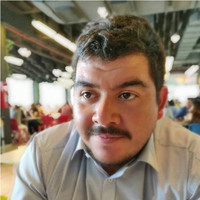 Alvaro Meneses Arcos