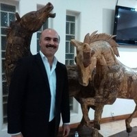 Mehdi Doost Mohammadi