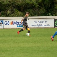 Anel Junuzovic