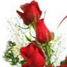 Jane S