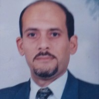 Assem Abdeltawab