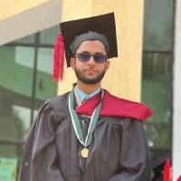 Hamza Iqbal Malik