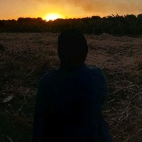 ندى محمود