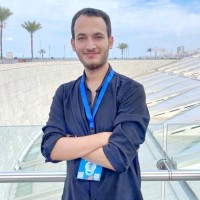 Mohamed Mosad Farhat