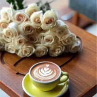 مريم العتيبي