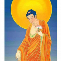 Fredd Luo