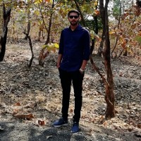 Parth Parekh