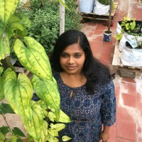 Adhithya Rajan