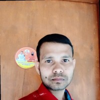 Nitya Sarkar