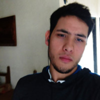 Luis Cota